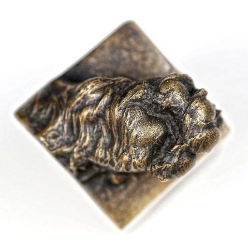 3D pet paw cast in solid bronze