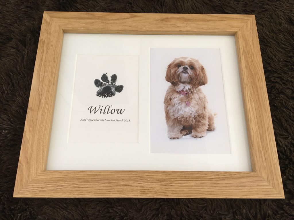 pet paw print in a wood frame using inkless wipe