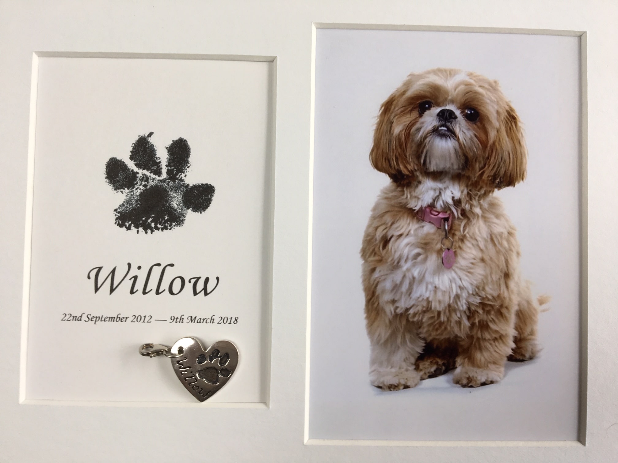 deceased pet paw print in a frame using inkless wipe wood with pawprint silver heart charm