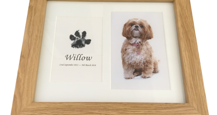 dog paw print in wood frame with photograph using inkless wipe kit